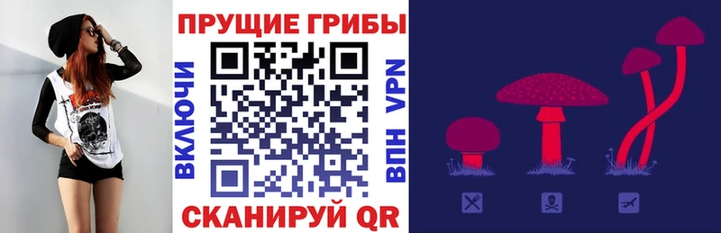 Псилоцибиновые грибы Psilocybine cubensis  Стерлитамак 