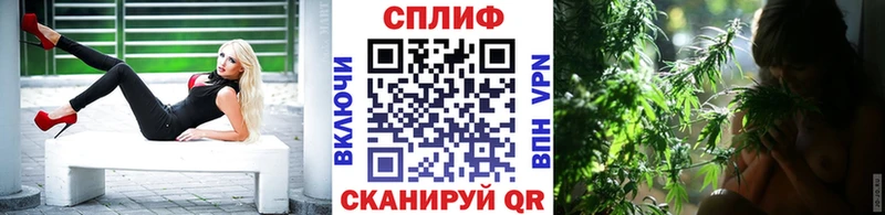 где купить наркотик  Стерлитамак  Конопля ГИДРОПОН 
